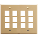 Modular Faceplates 2 Gang 12 Port